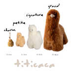 The Signature Alpaca Companion — 12 in | Handmade in Peru