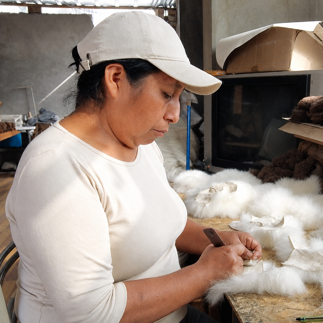 A woman in a white cap and white shirt works at a table handling white  alpaca fur in a workshop with tools and materials visible in the background.